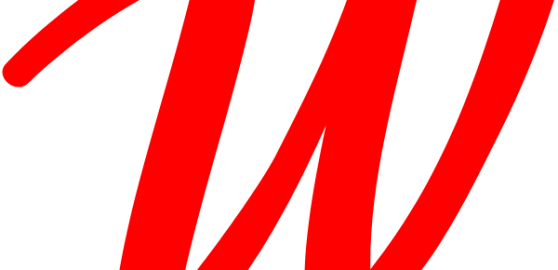 msapplication-wide310x150logo